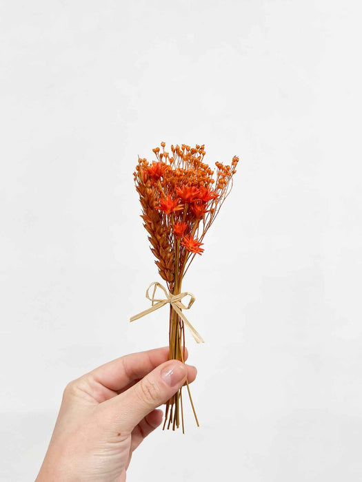 MILO » 6 segnaposto di fiori secchi arancio