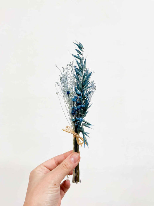 CELESTINO » 6 segnaposto di fiori secchi celeste