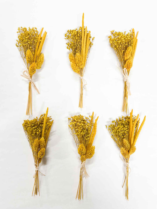 ASCANIO » 6 segnaposto di fiori secchi giallo