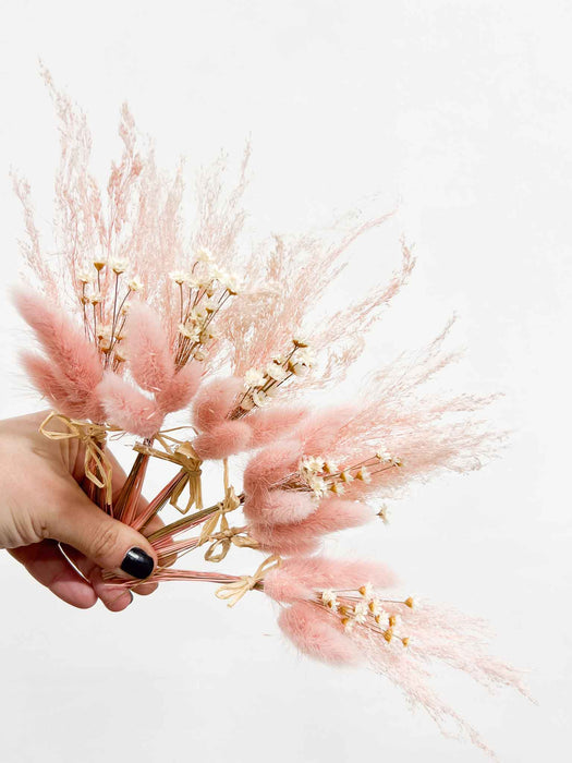 MARGHERITA » 6 segnaposto di fiori secchi rosa chiaro