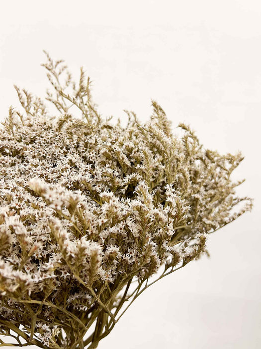 TARTARICA » essiccata naturale - GOFFREDO