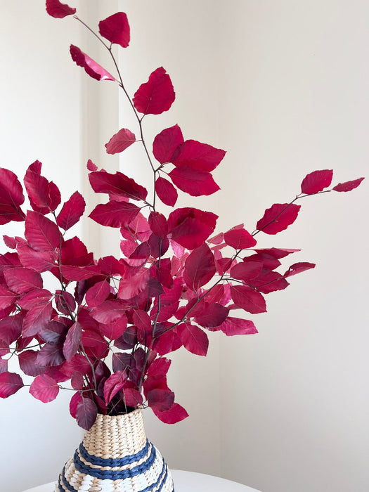 VALERY » Mazzo di Faggio stabilizzato fucsia