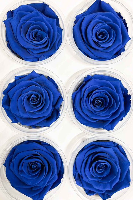 ROSE » BOX WITH 6 ROSE FLOWERS STANDARD DIAMETER 6.5 CM YELLOW - COCO
