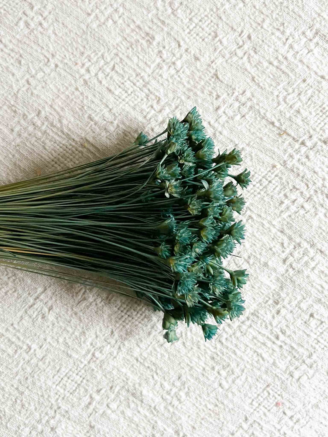 Hill flower