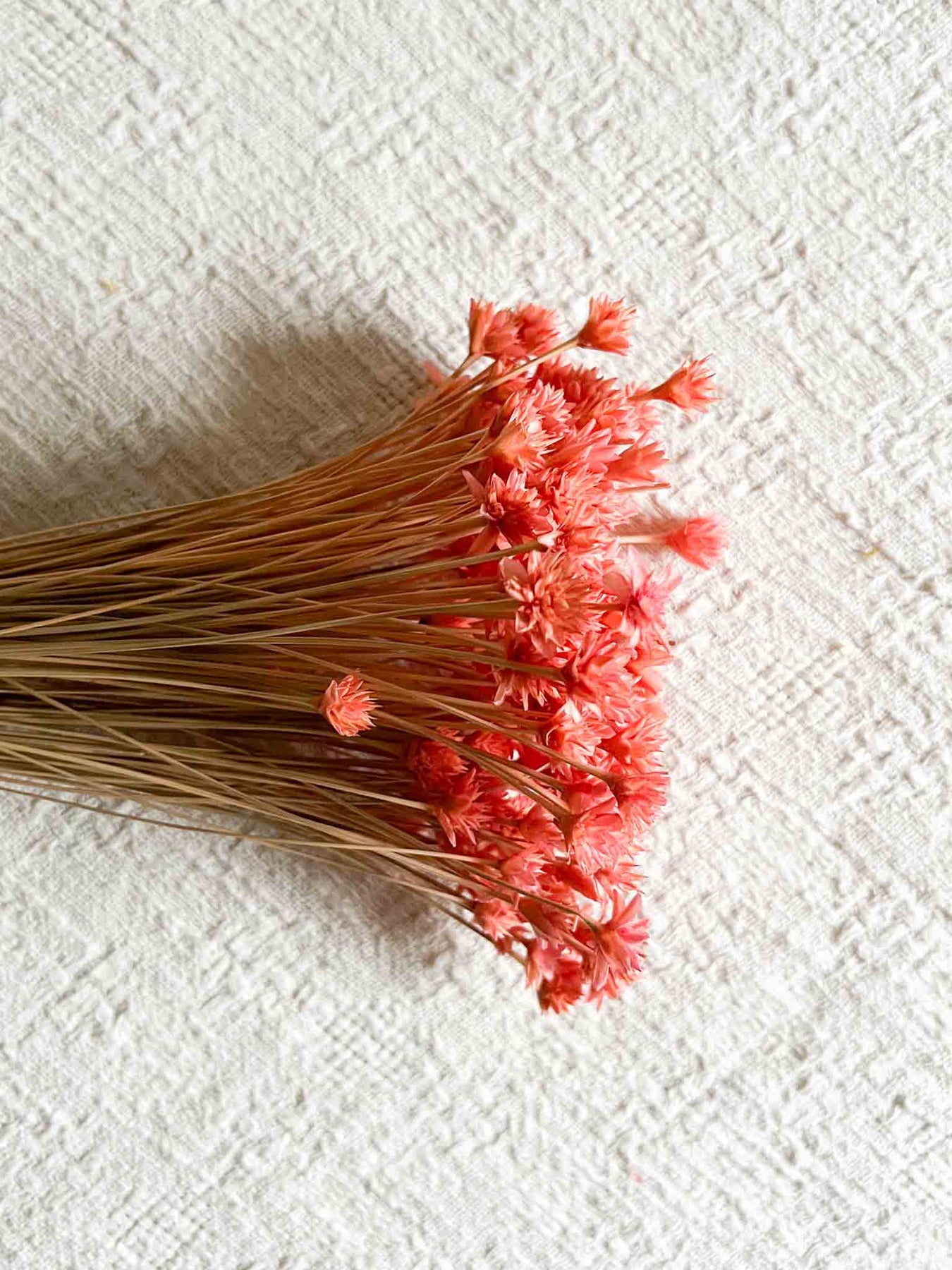 Hill flower