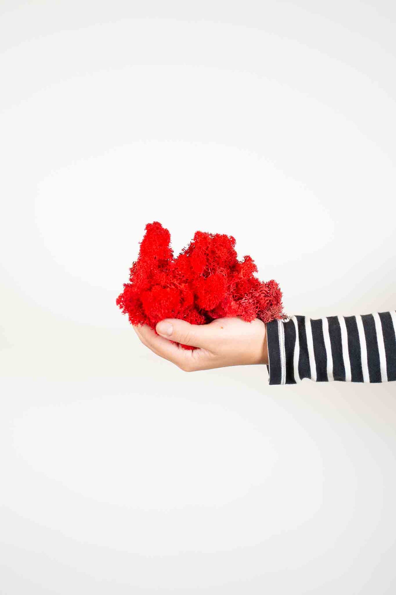 Preserved flowers
