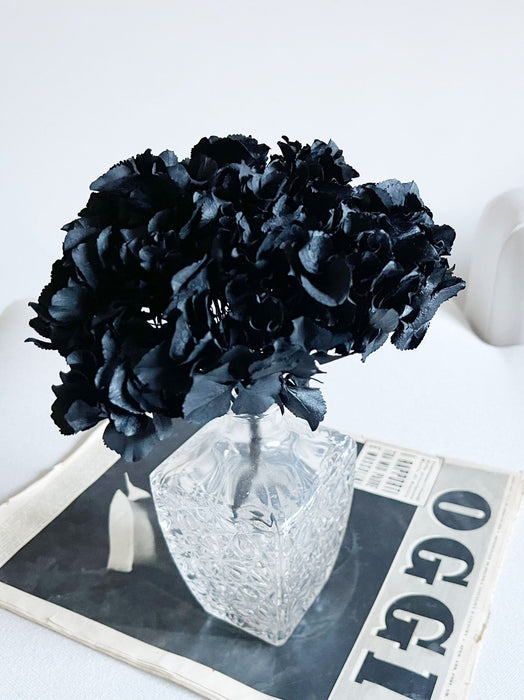 AGATHA » Preserved black Hydrangea