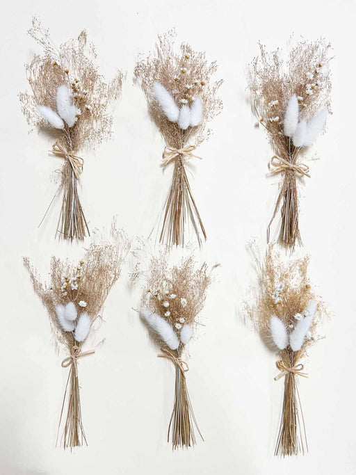 ADELAIDE » 6 segnaposto di fiori secchi - Bloomoon