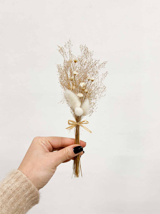 ADELAIDE » 6 segnaposto di fiori secchi - Bloomoon