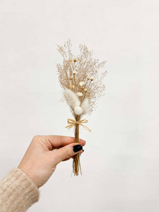 ADELAIDE » 6 segnaposto di fiori secchi - Bloomoon