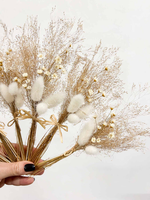 ADELAIDE » 6 segnaposto di fiori secchi - Bloomoon