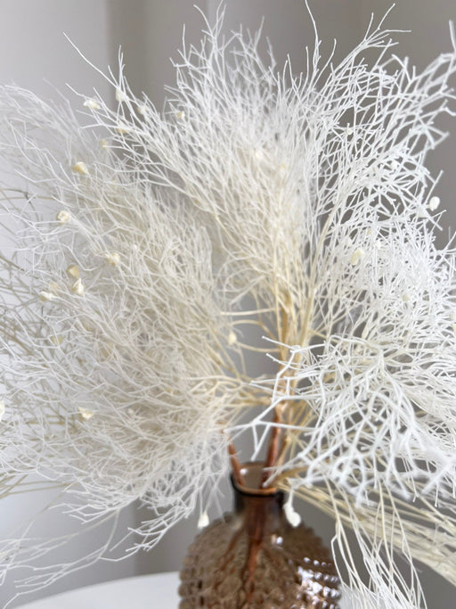 BIANCOSPINO » Dream Grass stabilizzata bianco - Bloomoon