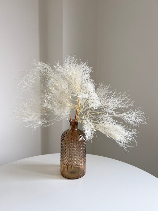 BIANCOSPINO » Dream Grass stabilizzata bianco - Bloomoon