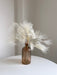 BIANCOSPINO » Dream Grass stabilizzata bianco - Bloomoon