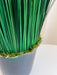 CALOGERO » pianta stabilizzata di bear grass verde H120cm - Bloomoon