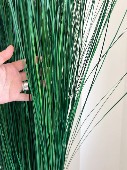 CALOGERO » pianta stabilizzata di bear grass verde H120cm - Bloomoon