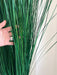 CALOGERO » pianta stabilizzata di bear grass verde H120cm - Bloomoon