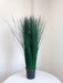 CALOGERO » pianta stabilizzata di bear grass verde H120cm - Bloomoon