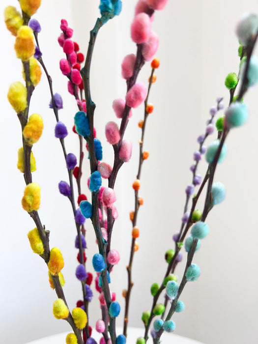 CARIOCA » Mazzo di Salice multicolor - Bloomoon