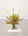 CONSUELO » Bouquet dalle tonalità del giallo - Bloomoon