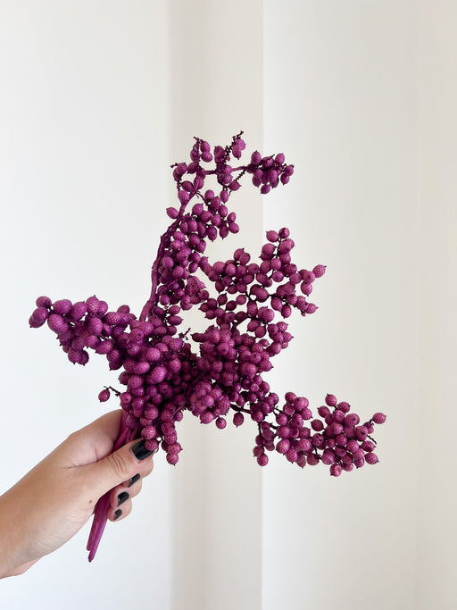 ERCOLINA » Fascio di bacche viola naturali essiccate - Bloomoon