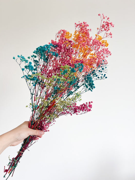 ERMETE » Mazzo di Gypsophila o nebbiolina stabilizzata multicolor - Bloomoon