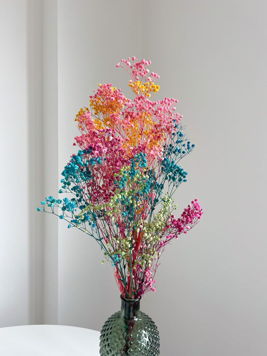 ERMETE » Mazzo di Gypsophila o nebbiolina stabilizzata multicolor - Bloomoon