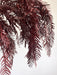 EVANDER » mazzo di foglie di pepe stabilizzato bordeaux H70cm - Bloomoon