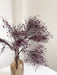 FESTER » Dream Grass stabilizzata viola - Bloomoon