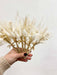 IOANNA » 6 segnaposto di fiori secchi - Bloomoon