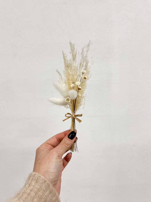 IOANNA » 6 segnaposto di fiori secchi - Bloomoon