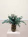 LAERTE » Bouquet dalle tonalità del verde e bianco - Bloomoon