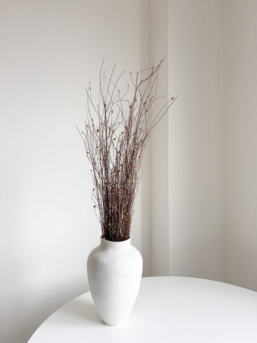 MENA » Gomphrena naturale essiccata selvatica H100cm - Bloomoon