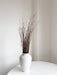MENA » Gomphrena naturale essiccata selvatica H100cm - Bloomoon