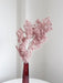 MINGO » Ming fern stabilizzato malva - Bloomoon