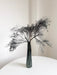 MORTISIA » Dream Grass stabilizzata grigio - Bloomoon