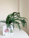 NATANIELE » mazzo di foglie di pepe stabilizzato verde H70cm - Bloomoon