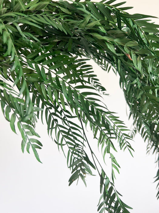 NATANIELE » mazzo di foglie di pepe stabilizzato verde H70cm - Bloomoon