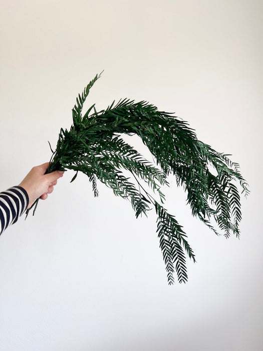 NATANIELE » mazzo di foglie di pepe stabilizzato verde H70cm - Bloomoon
