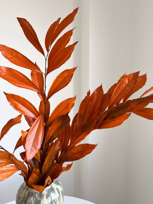 NERISSA » Cocculus stabilizzato arancione H70cm - Bloomoon