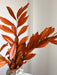 NERISSA » Cocculus stabilizzato arancione H70cm - Bloomoon