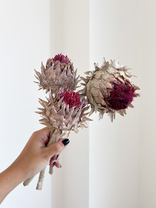 NICOLE » Mazzo da tre fiori di Carciofo bianco e viola - Bloomoon