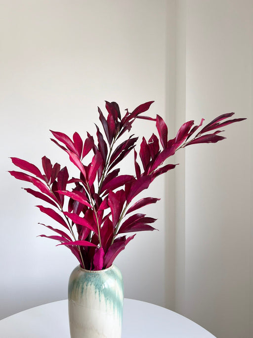 NIVES » Cocculus stabilizzato fucsia H70cm - Bloomoon
