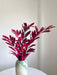 NIVES » Cocculus stabilizzato fucsia H70cm - Bloomoon