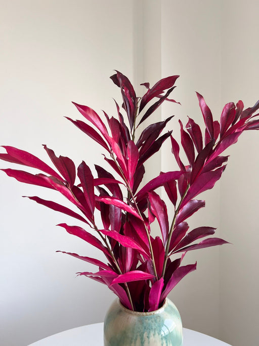 NIVES » Cocculus stabilizzato fucsia H70cm - Bloomoon