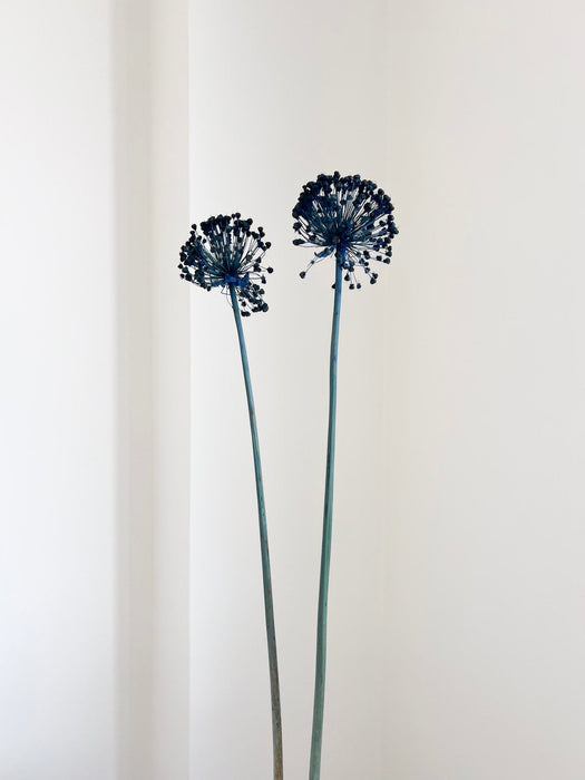 NYX » fiore di aglio (allium) essiccato colorato H80cm - Bloomoon