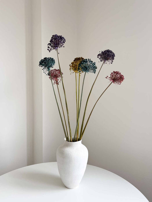 NYX » fiore di aglio (allium) essiccato colorato H80cm - Bloomoon