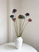 NYX » fiore di aglio (allium) essiccato colorato H80cm - Bloomoon