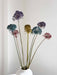 NYX » fiore di aglio (allium) essiccato colorato H80cm - Bloomoon