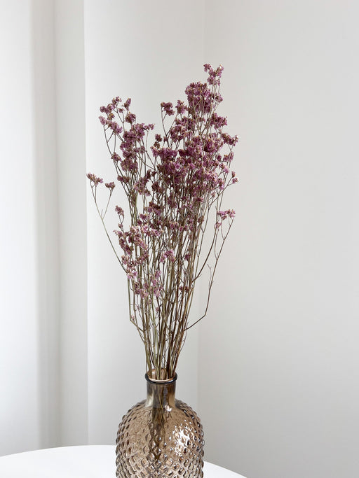ORDOBARDO » Limonium essiccato naturale - Bloomoon